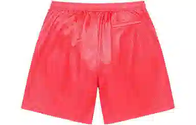 Supreme Small Box Baggy Mesh Short