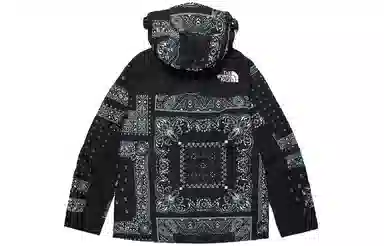 The North Face Novelty Gtx Mountain Jacket 1990 Black