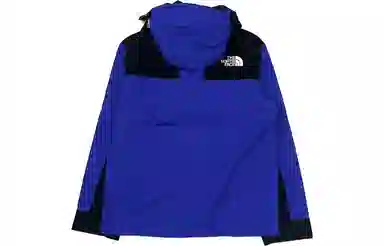 THE NORTH FACE Logo