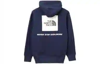 THE NORTH FACE Logo