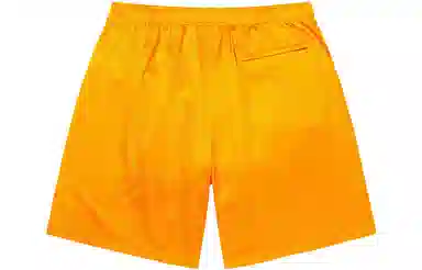 Supreme Small Box Baggy Mesh Short