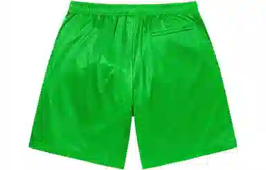 Supreme Small Box Baggy Mesh Short