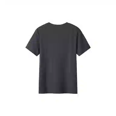 PIONEER CAMP T