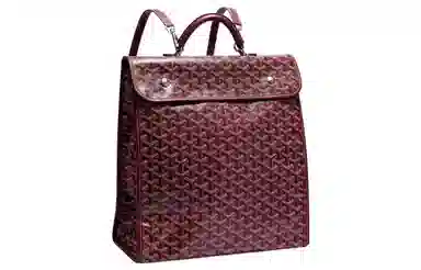 Goyard Saint Leger