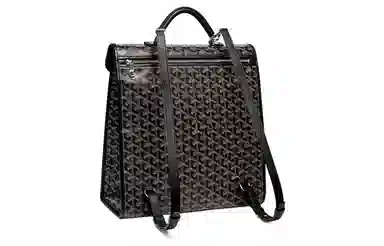 Goyard Saint Leger