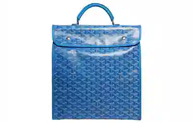 Goyard Saint Leger