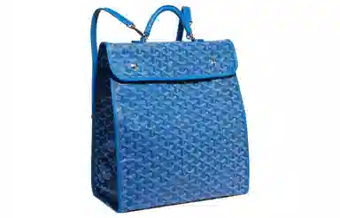 Goyard Saint Leger