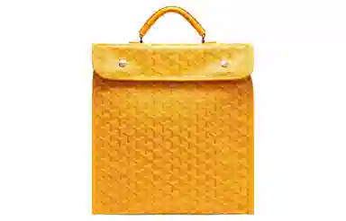 Goyard Saint Leger