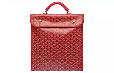 Goyard Saint Leger