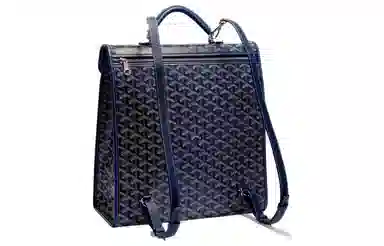 Goyard Saint Leger