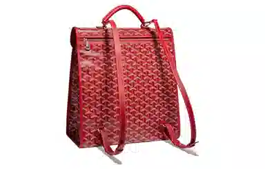 Goyard Saint Leger