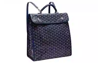 Goyard Saint Leger