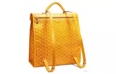 Goyard Saint Leger