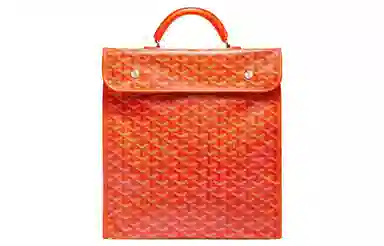 Goyard Saint Leger