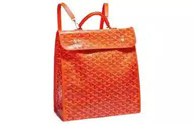 Goyard Saint Leger