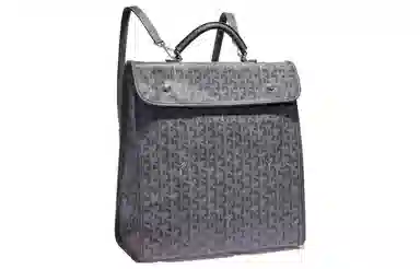 Goyard Saint Leger