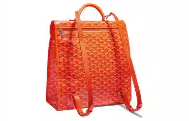 Goyard Saint Leger