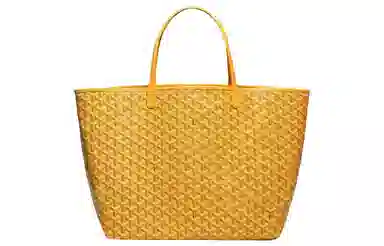 Goyard Saint Louis