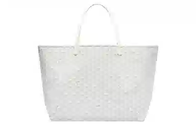 Goyard Saint Louis