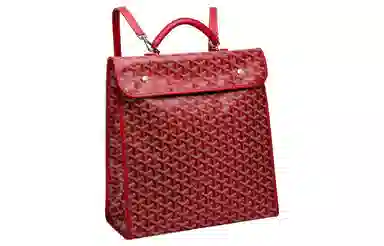 Goyard Saint Leger