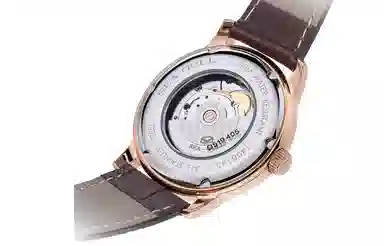 Sea-Gull D519.405+D519.405L