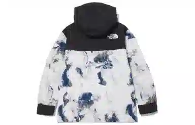 The North Face Novelty Dalton Anorak