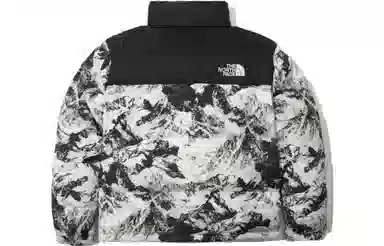 The North Face 1996 Novelty Nuptse Jacket
