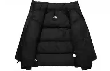 The North Face 1996 Eco Nuptse Black