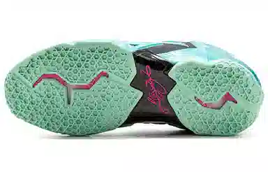 Nike Lebron 11 South Beach