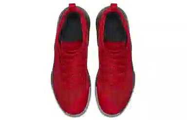 Nike Witness 2 Lebron EP