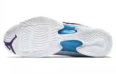 Jordan Air Jordan 29