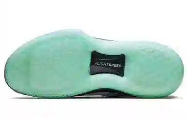 Jordan Air Jordan 32 Low Guo Ailun PE