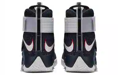 Nike zoom soldier 10 LeBron USA