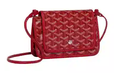 Goyard Plumet