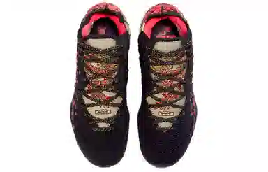 Nike Lebron 17 E EP "Courage"