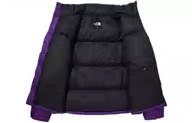The North Face 1996 Eco Nuptse Purple