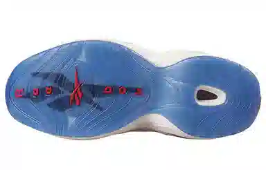 Reebok Question 2020