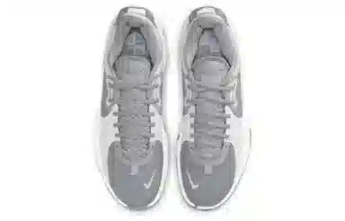 Nike PG 5 TB Grey White