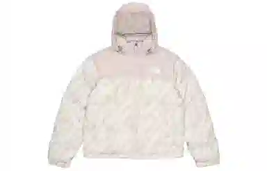 The North Face 1996 Retro Nuptse