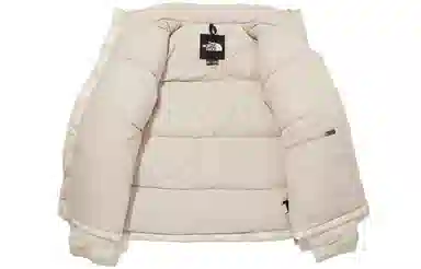 The North Face 1996 Retro Nuptse