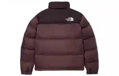 The North Face 1996 Brown