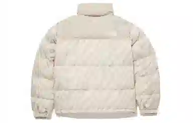 The North Face 1996 Retro Nuptse