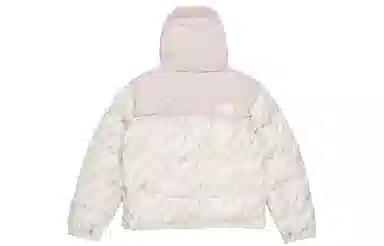 The North Face 1996 Retro Nuptse