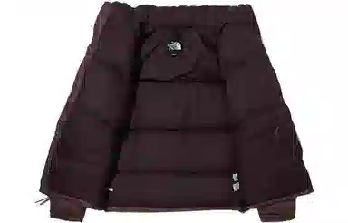 The North Face 1996 Brown