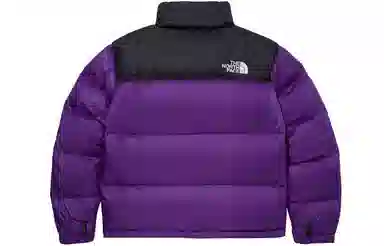 The North Face 1996 Eco Nuptse Purple