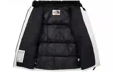 The North Face Eco Utility Down Jacket