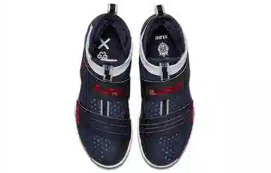Nike zoom soldier 10 LeBron USA