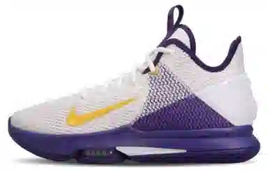 Nike Witness 4 LeBron EP