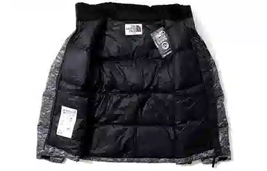 The North Face Novelty Nuptse
