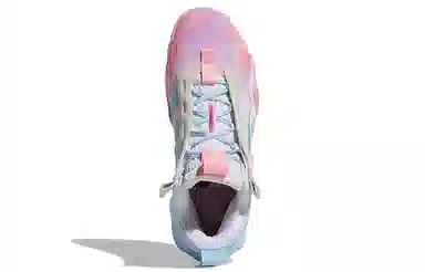 adidas Exhibit B